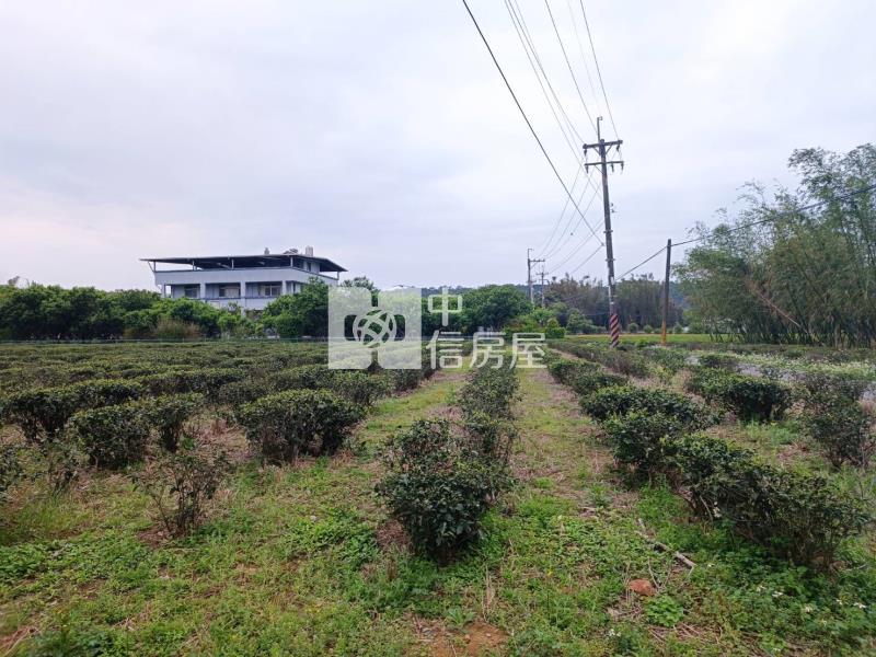 【安家】龍潭高爾夫球場近富華街農+建地房屋室內格局與周邊環境