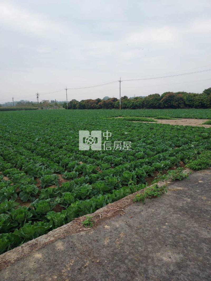 柳營小資族休閒農地房屋室內格局與周邊環境