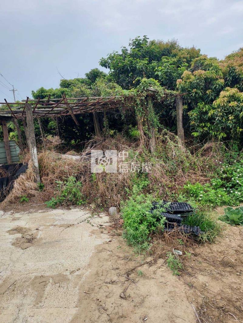 柳營小資族休閒農地房屋室內格局與周邊環境