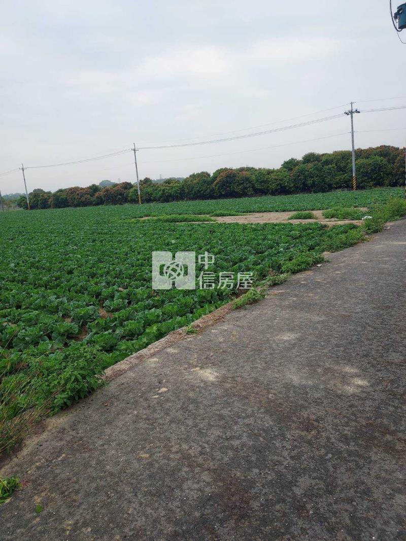 柳營小資族休閒農地房屋室內格局與周邊環境