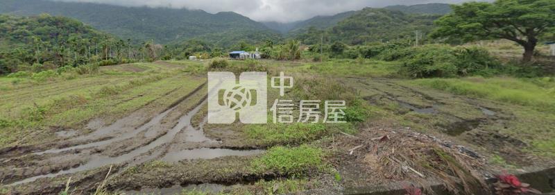 B103-重安小農地①房屋室內格局與周邊環境