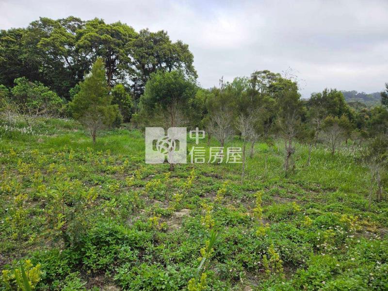 (專任)明德水庫南岸休閒農場房屋室內格局與周邊環境