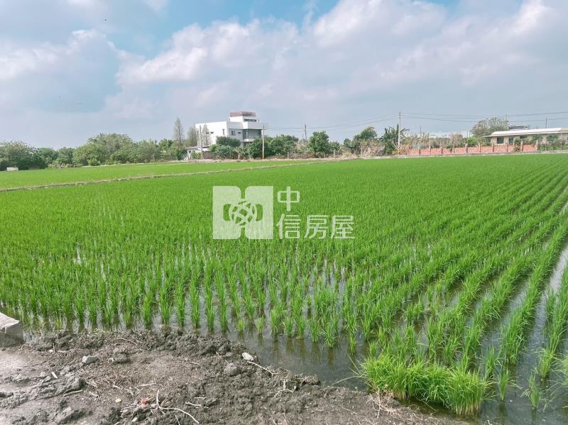 福興工業區超便宜農地房屋室內格局與周邊環境