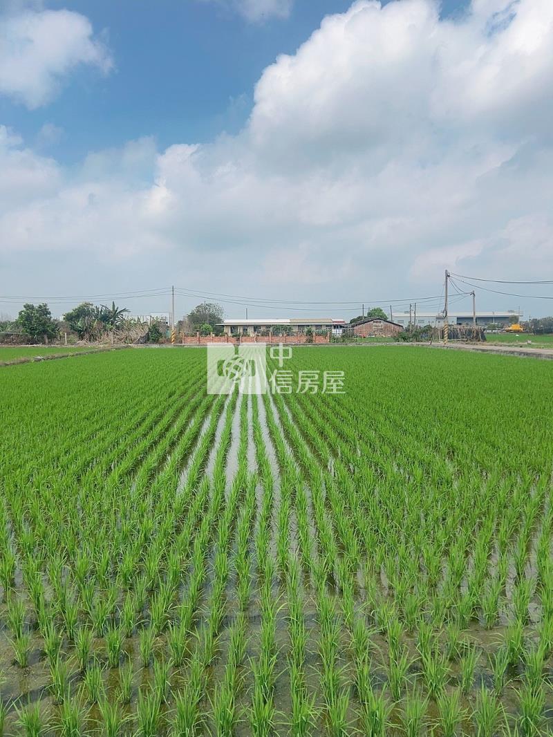 福興工業區超便宜農地房屋室內格局與周邊環境