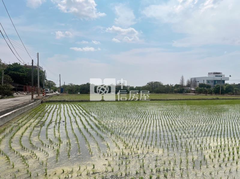 福興工業區超便宜農地房屋室內格局與周邊環境