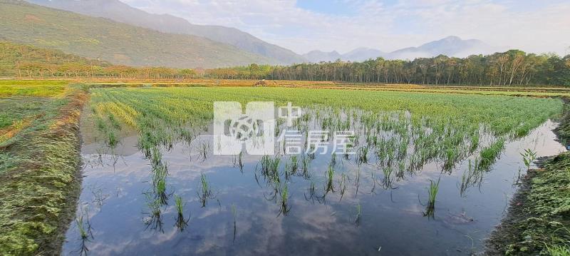 鳳林南平唯美農地房屋室內格局與周邊環境