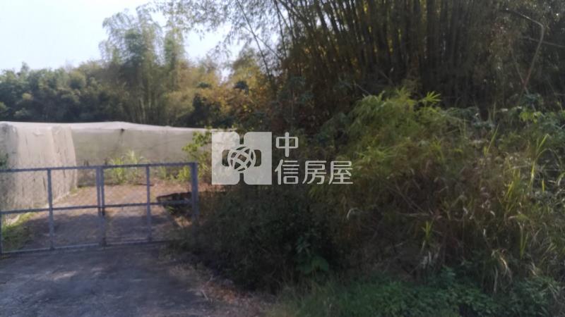 南寶球場前百米面寬農地房屋室內格局與周邊環境
