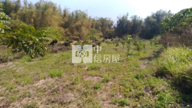 南寶球場前百米面寬農地房屋室內格局與周邊環境