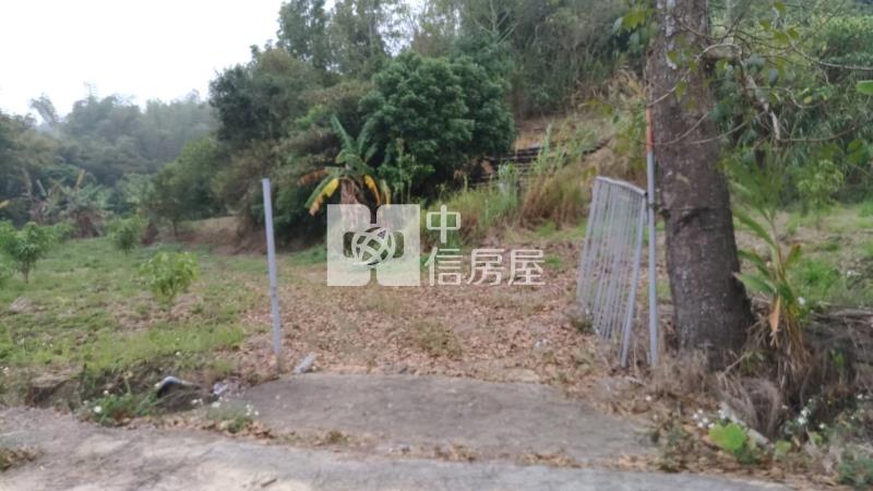 南寶球場前百米面寬農地房屋室內格局與周邊環境