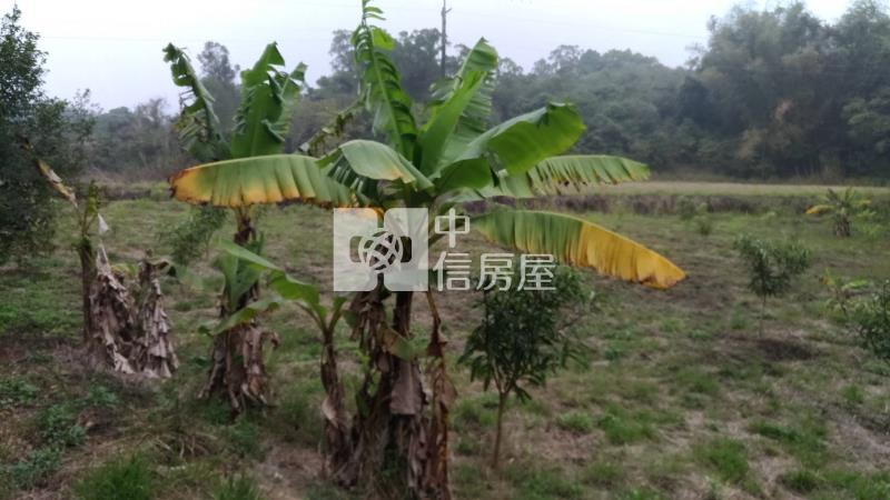 南寶球場前百米面寬農地房屋室內格局與周邊環境