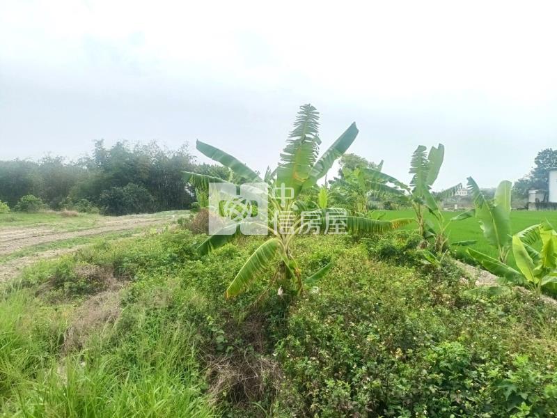斗六保長臨路農地房屋室內格局與周邊環境