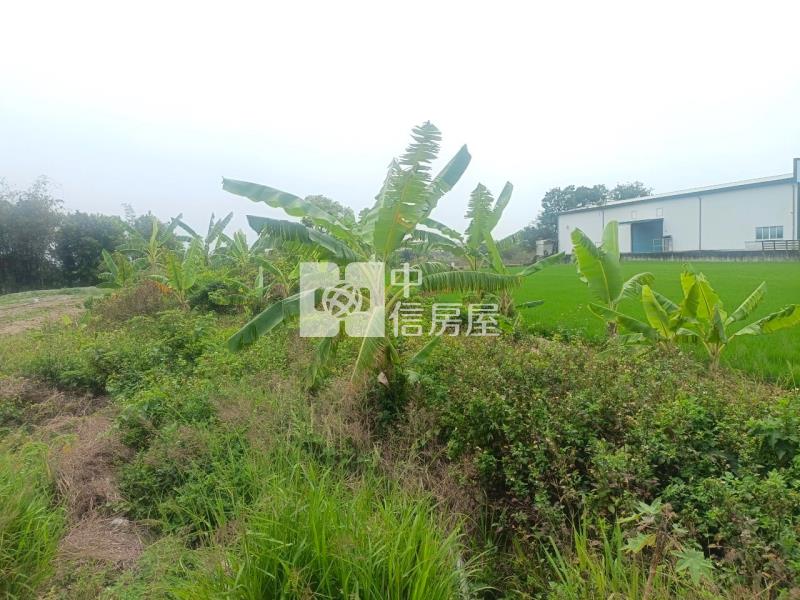斗六保長臨路農地房屋室內格局與周邊環境