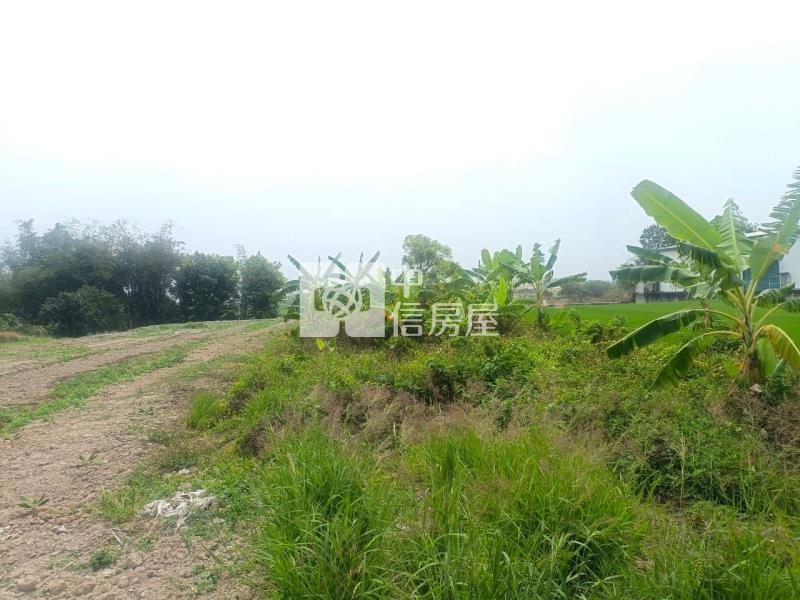 斗六保長臨路農地房屋室內格局與周邊環境