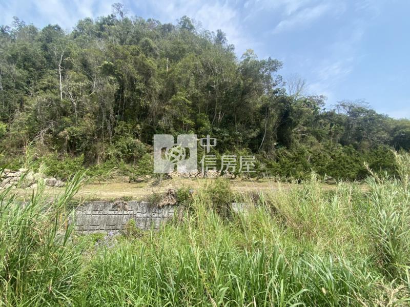 廣福宮農+林房屋室內格局與周邊環境