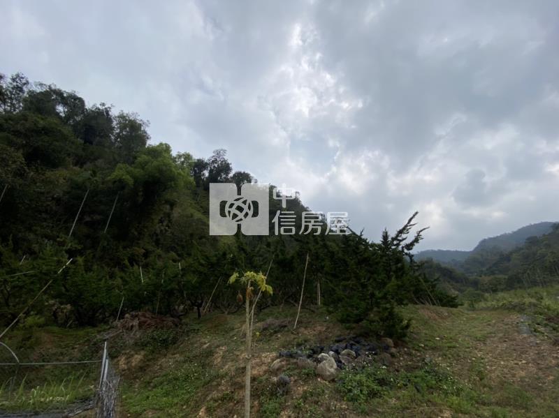 廣福宮農+林房屋室內格局與周邊環境