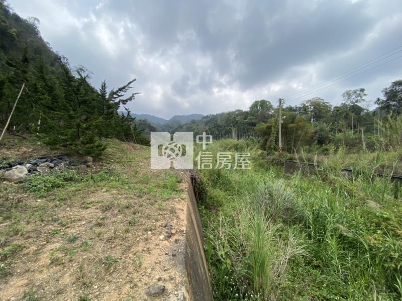 廣福宮農+林房屋室內格局與周邊環境
