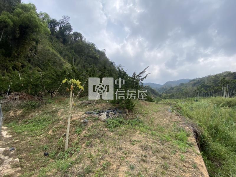 廣福宮農+林房屋室內格局與周邊環境
