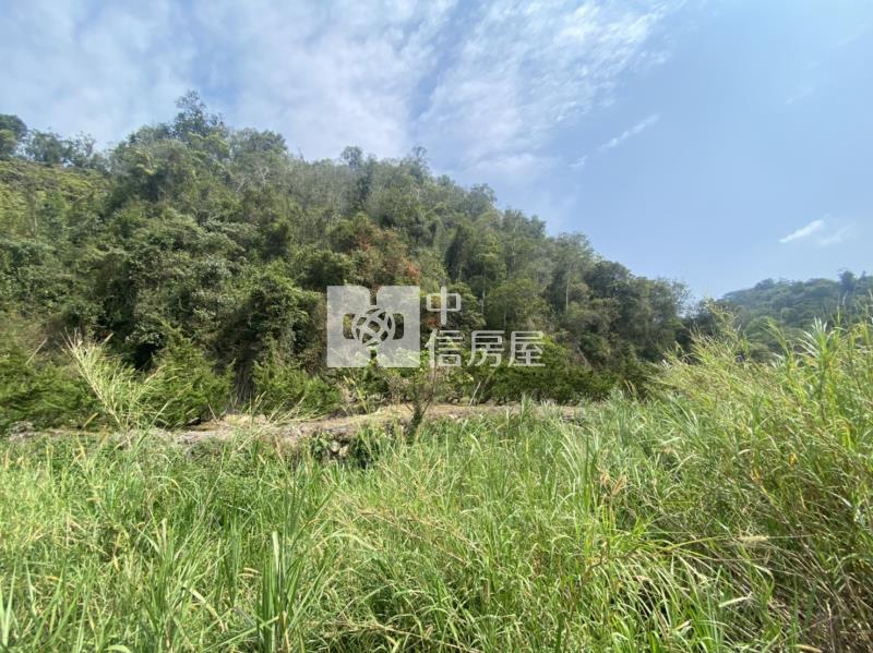 廣福宮農+林房屋室內格局與周邊環境