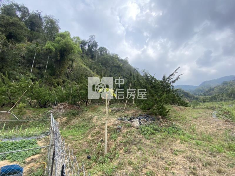廣福宮農+林房屋室內格局與周邊環境