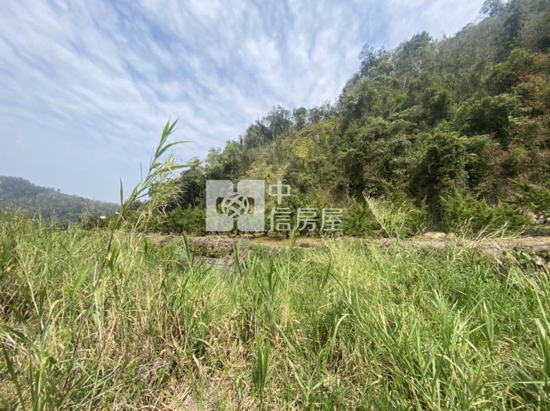 廣福宮農+林房屋室內格局與周邊環境