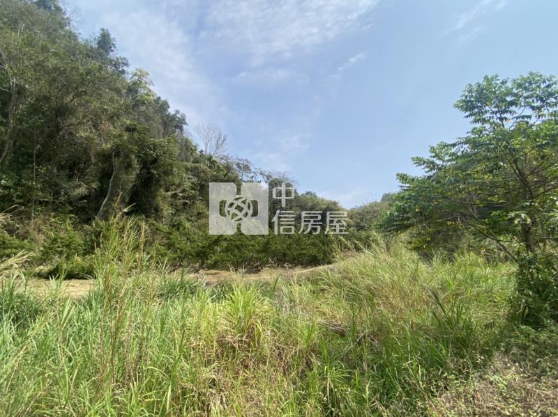 廣福宮農+林房屋室內格局與周邊環境