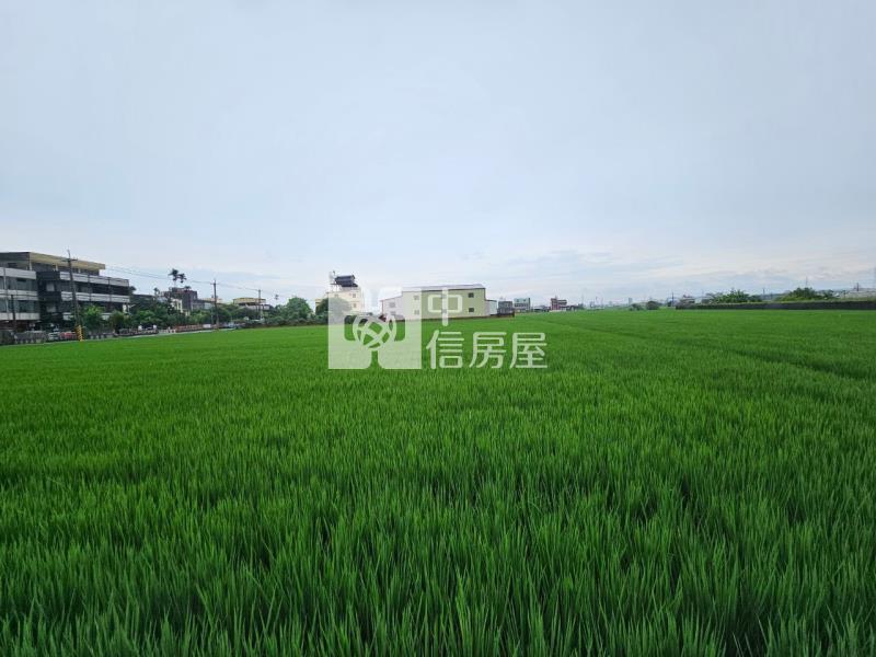 花壇口庄段區段徵收△美農地房屋室內格局與周邊環境