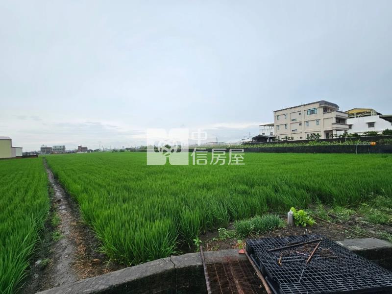 花壇口庄段區段徵收△美農地房屋室內格局與周邊環境