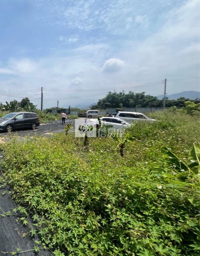 新社花海旁土地房屋室內格局與周邊環境