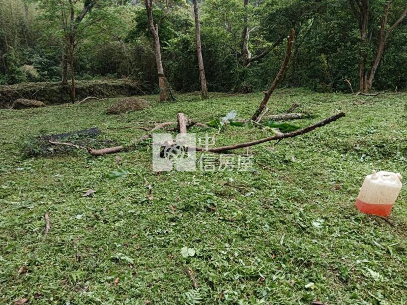 大溪羅馬公路原保地房屋室內格局與周邊環境