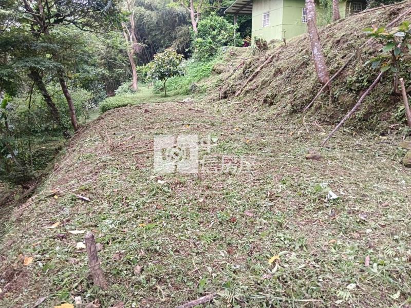 大溪羅馬公路原保地房屋室內格局與周邊環境