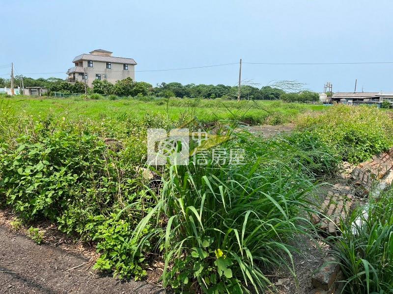 【星鑽】山東路前後臨路方正美農田房屋室內格局與周邊環境