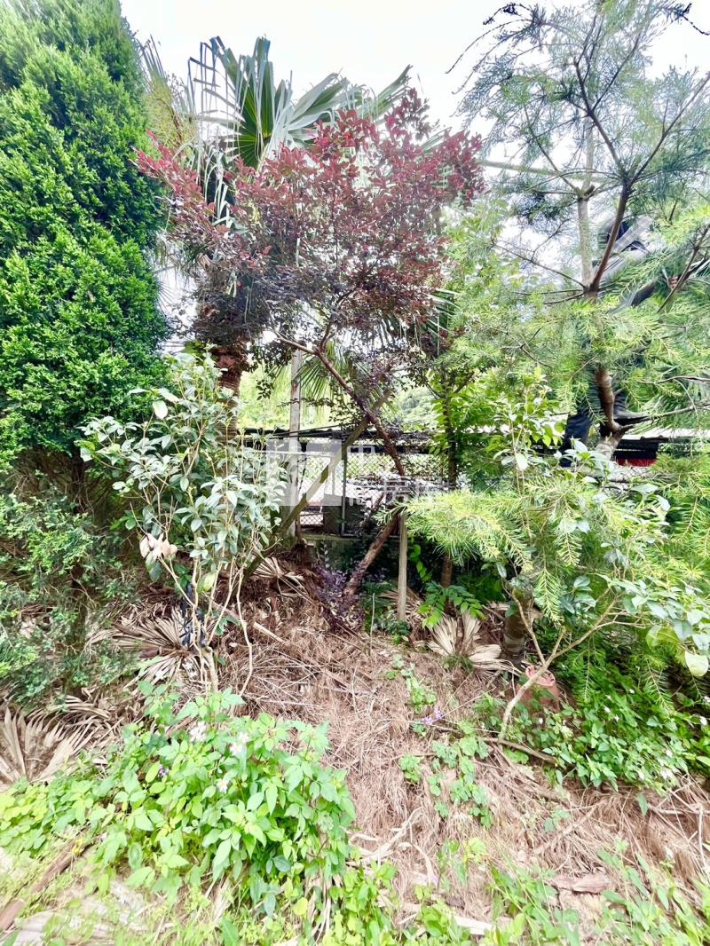 寶山寶斗景觀平坦美地房屋室內格局與周邊環境