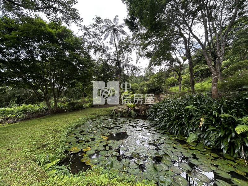 花蓮秀林鄉下水源段極致清幽原保山坡地房屋室內格局與周邊環境