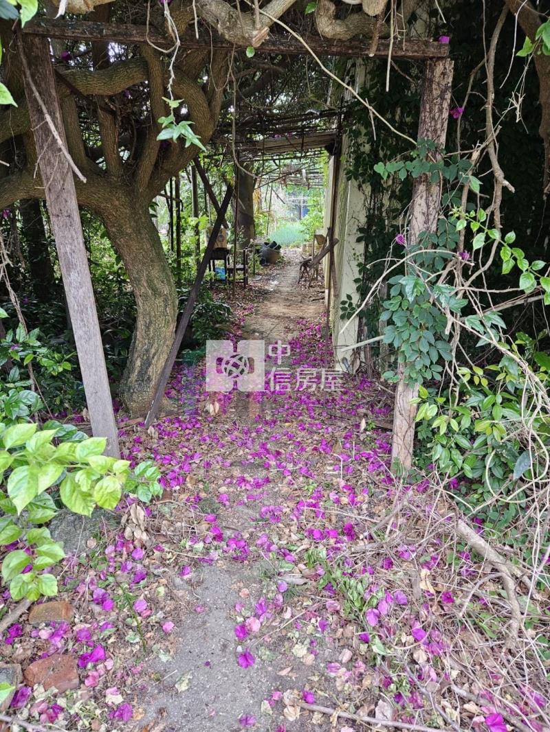 【豐禾】楊梅高雙段美農地加資材室房屋室內格局與周邊環境