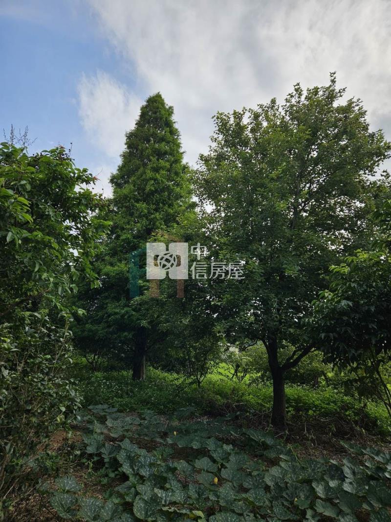 【豐禾】楊梅高雙段美農地加資材室房屋室內格局與周邊環境