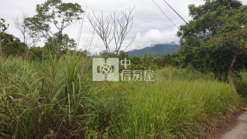 蜜香紅茶專區方正土地釋出房屋室內格局與周邊環境