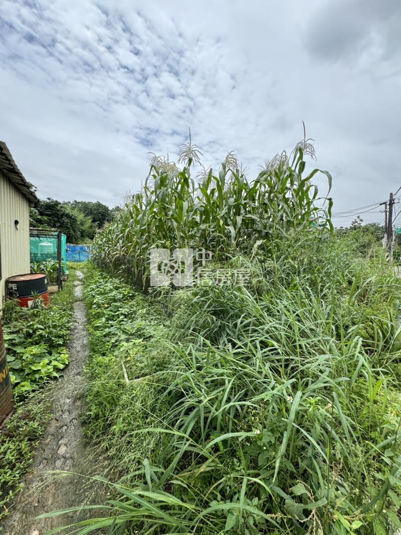 G003八德美農地房屋室內格局與周邊環境