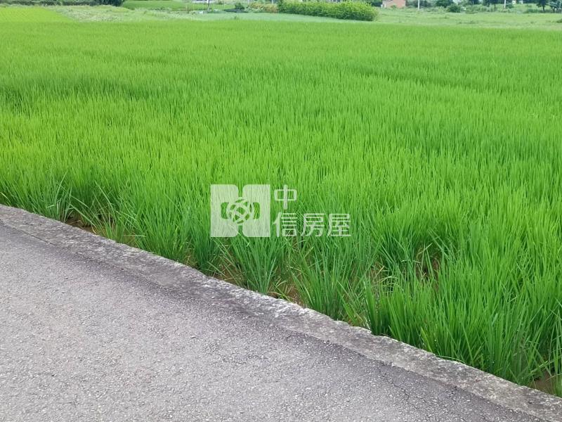 【安家】山東國小近圓光路雙面臨路800坪農地房屋室內格局與周邊環境
