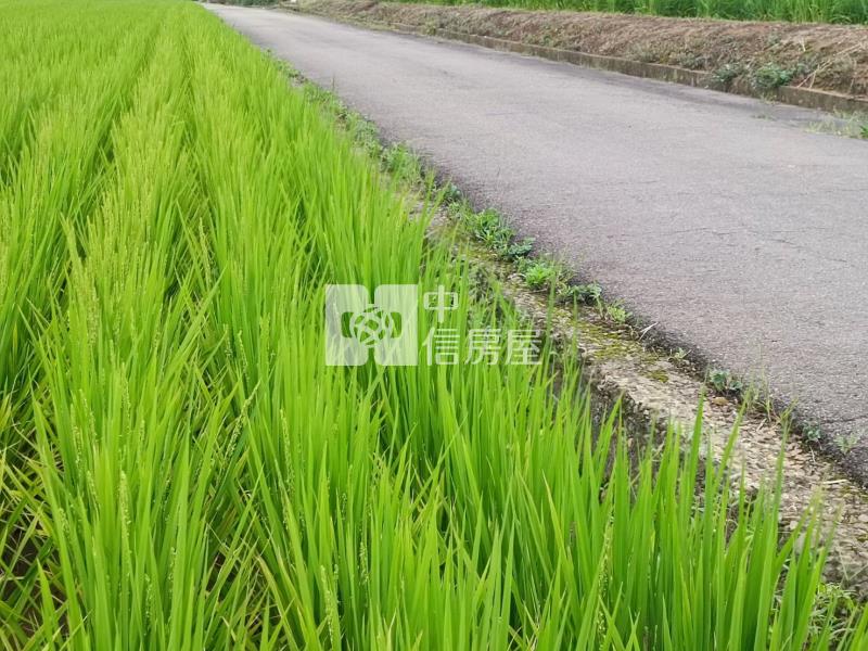 【安家】山東國小近圓光路雙面臨路800坪農地房屋室內格局與周邊環境