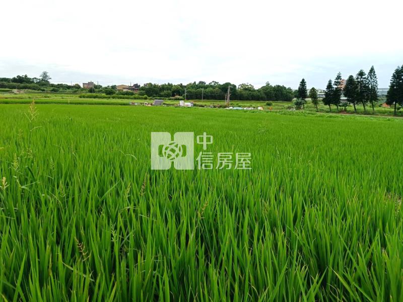 【安家】山東國小近圓光路442坪農地2房屋室內格局與周邊環境