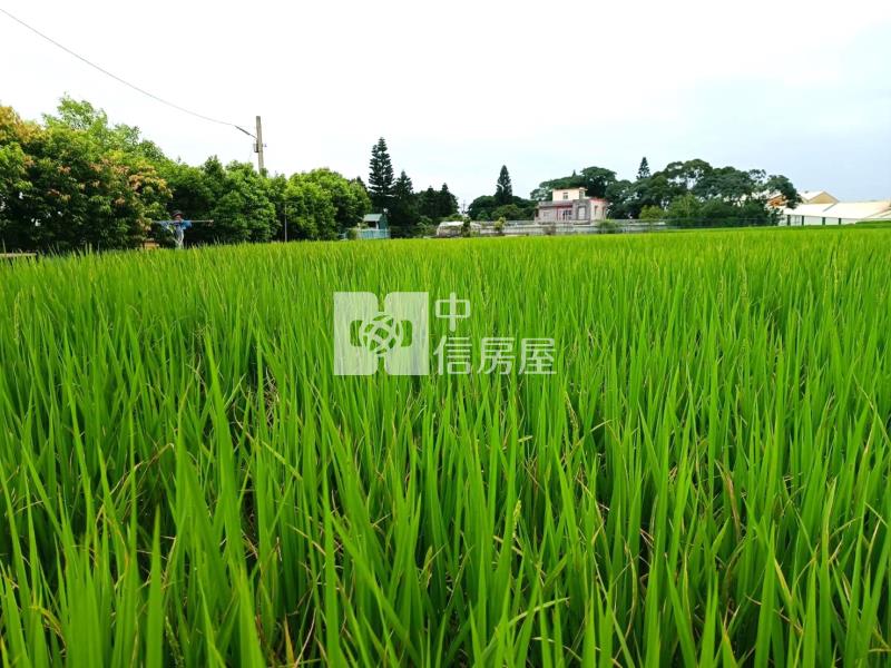 【安家】山東國小近圓光路442坪農地2房屋室內格局與周邊環境