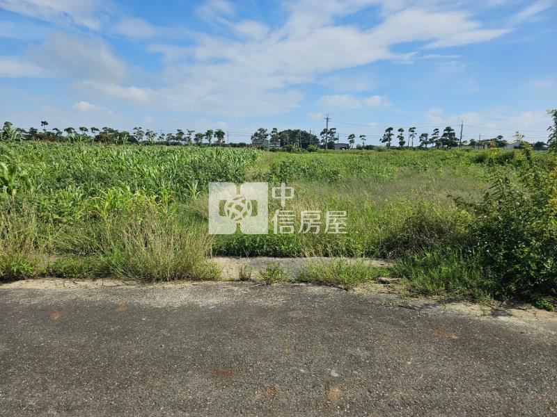 佳里龍安2.2分美農地房屋室內格局與周邊環境