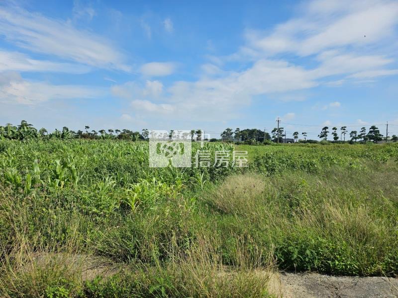 佳里龍安2.2分美農地房屋室內格局與周邊環境