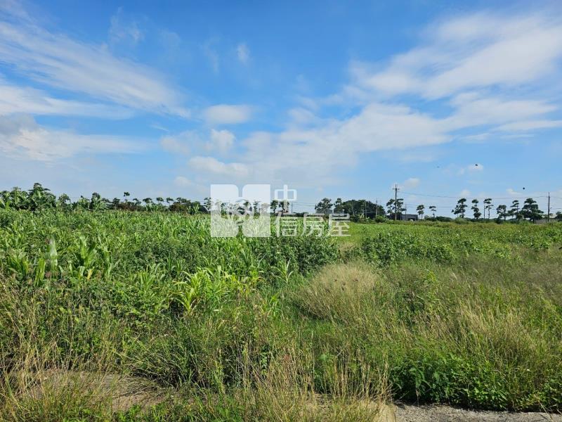 佳里龍安2.2分美農地房屋室內格局與周邊環境