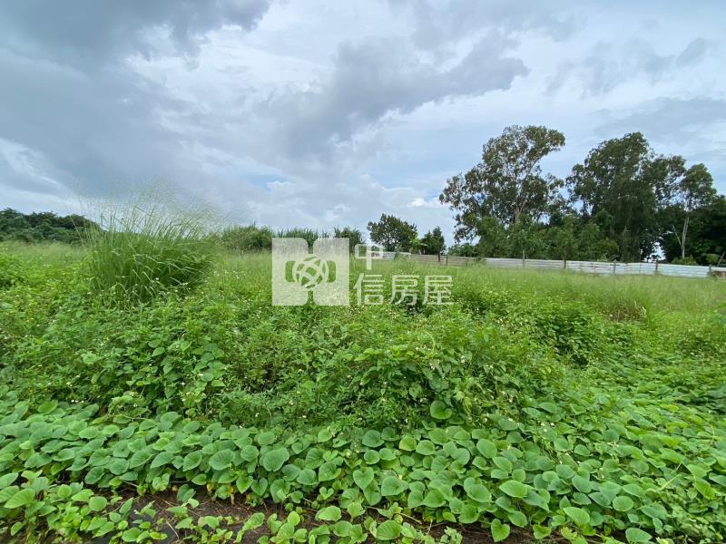 關廟1.3休閒農地房屋室內格局與周邊環境