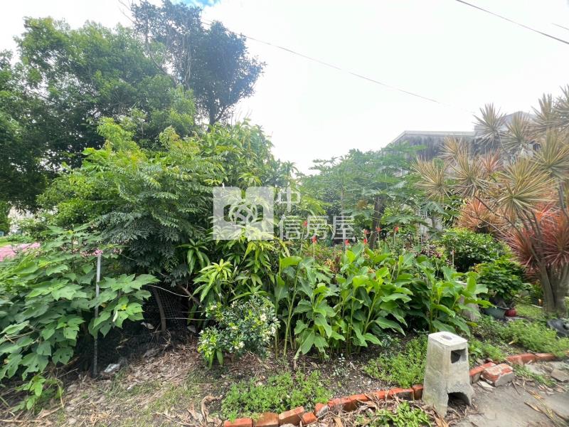 都內新中農地房屋室內格局與周邊環境