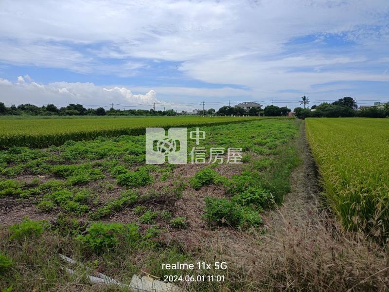 佳里番子寮農保農地房屋室內格局與周邊環境