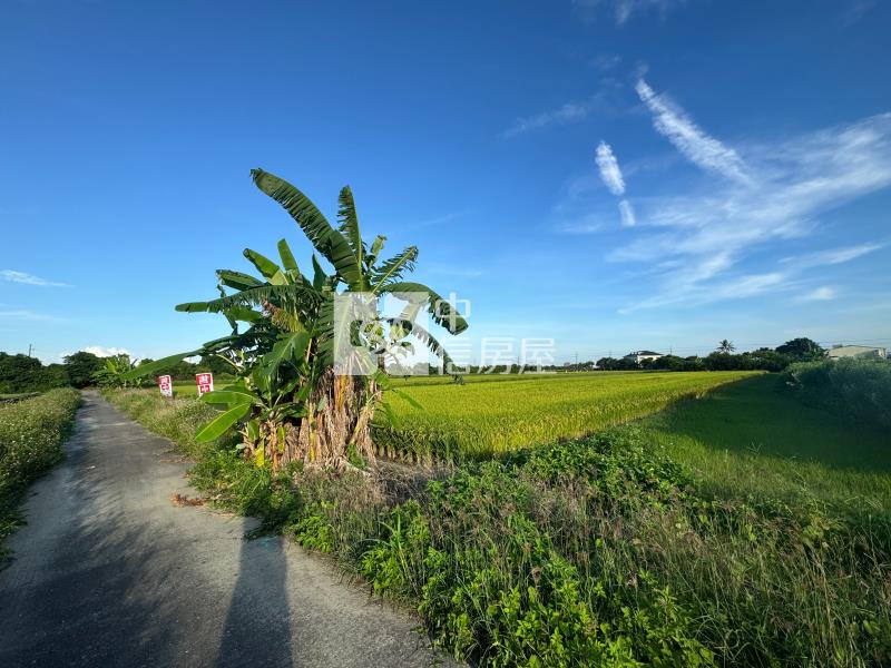 佳里番子寮農保農地房屋室內格局與周邊環境