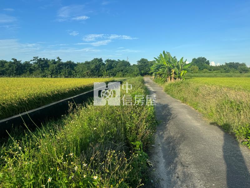 佳里番子寮農保農地房屋室內格局與周邊環境