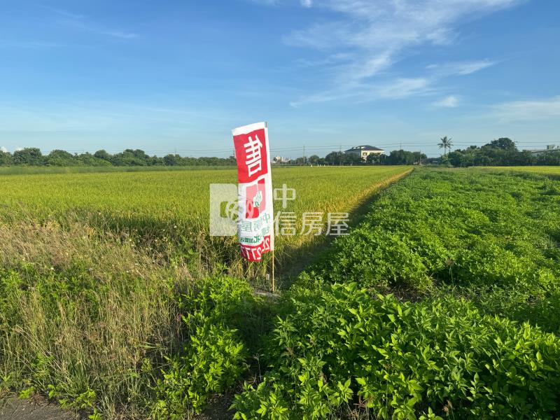 佳里番子寮農保農地房屋室內格局與周邊環境